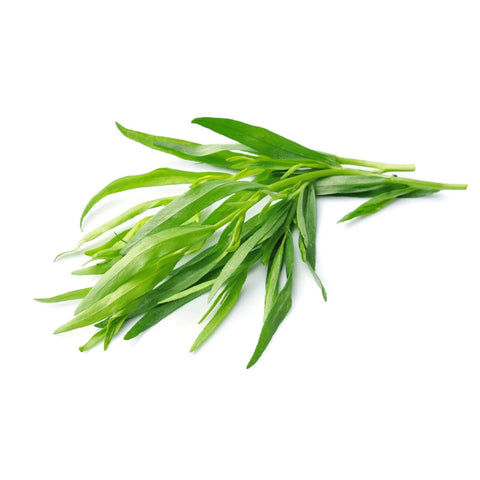 HERB, TARRAGON, 250G,