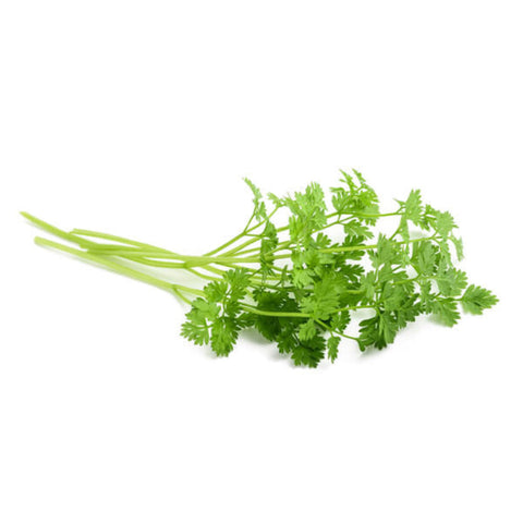 HERB, CHERVIL, 250G