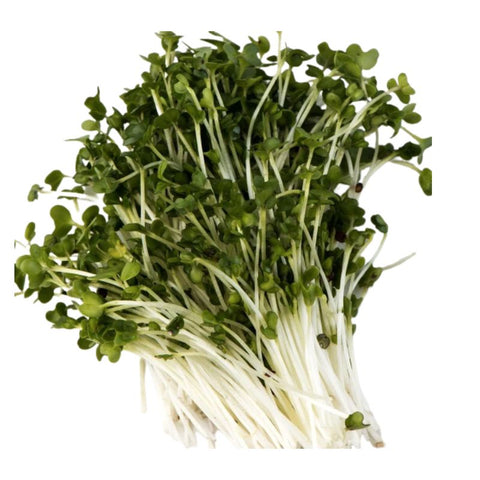 MICRO HERBS, BROCCOLI,35G,