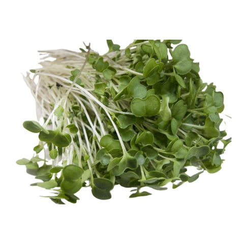 MICRO HERBS, KALE,35G,