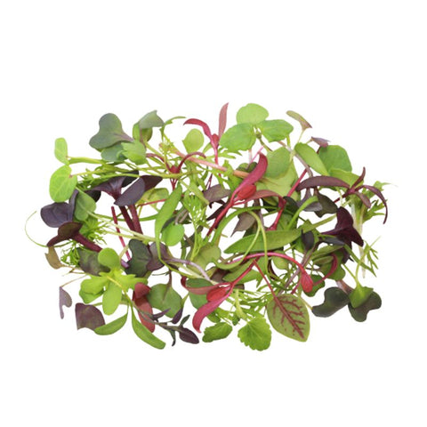 MICRO HERBS, GOURMET,MIX, 35G,