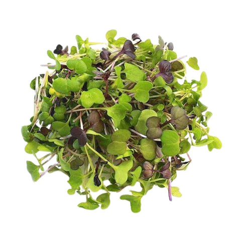 MICRO HERBS, 35G