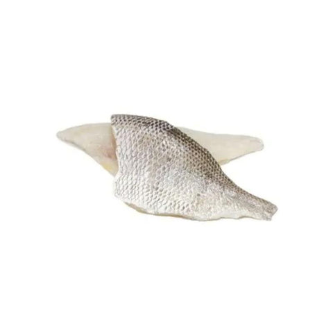 WHITE SNAPPER, FRESH, FILLET SIDE
