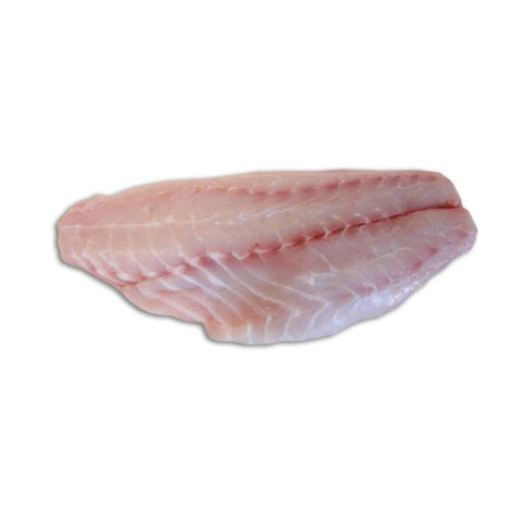 RED GROUPER, FRESH,  WHOLE FILLET,