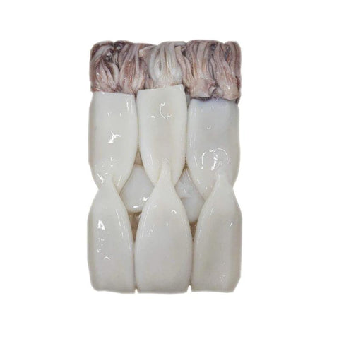 SQUID, FRESH,  TUBES & TENTACLES,