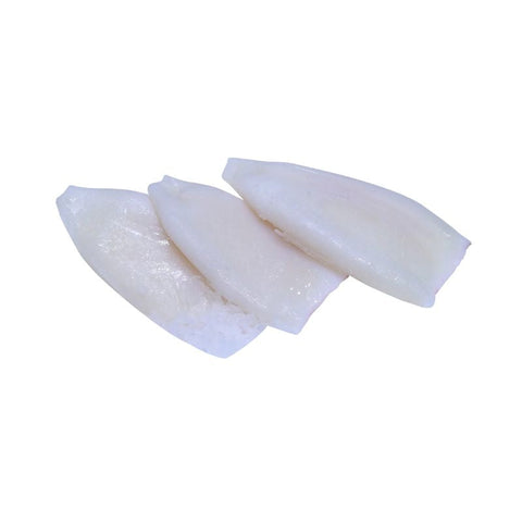 SQUID, FROZEN,  TUBES,