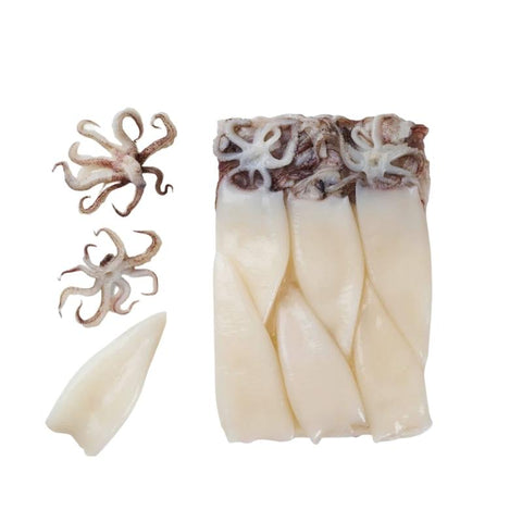 SQUID, FROZEN,  TUBES & TENTACLES,