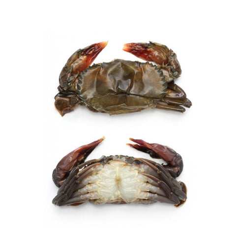 SOFT SHELL CRAB, FROZEN,