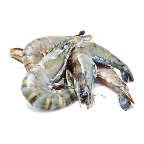 NIGERIAN TIGER PRAWNS, FROZEN, U3