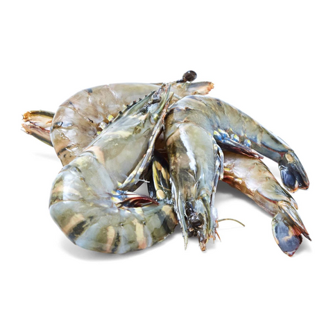 TIGER PRAWNS, FROZEN,