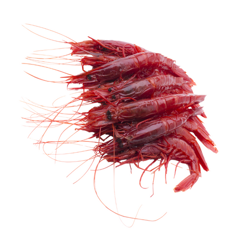 SPANISH CARIBANEROS PRAWNS, FROZEN, U10