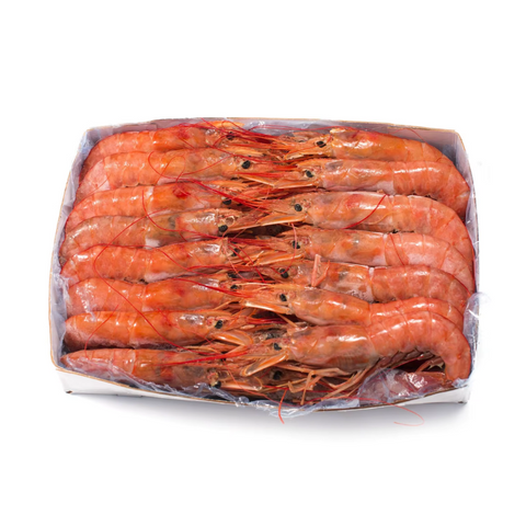 ARGENTINA, RED SHRIMP, WILD