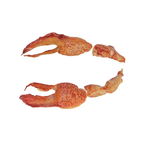 LOBSTER CLAWS MEAT, FROZEN