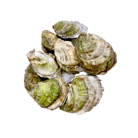 OYSTER, FRESH,  SUMMERSIDE NORTHEAST,