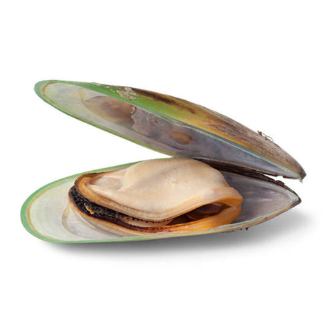 NZ MUSSELS, FRESH,