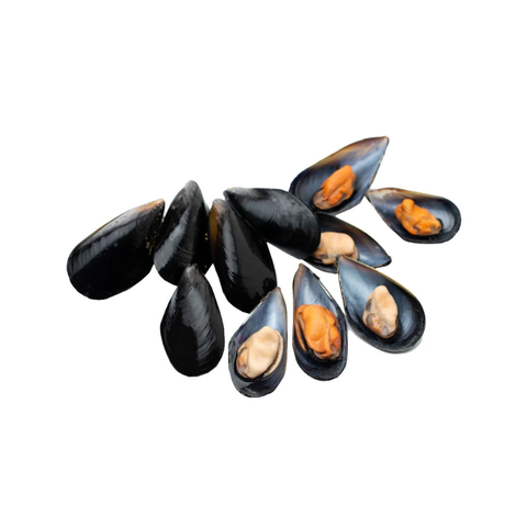 BOSTON MUSSELS, FRESH,