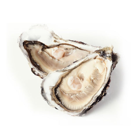 FRENCH OYSTERS, FROZEN, XL,