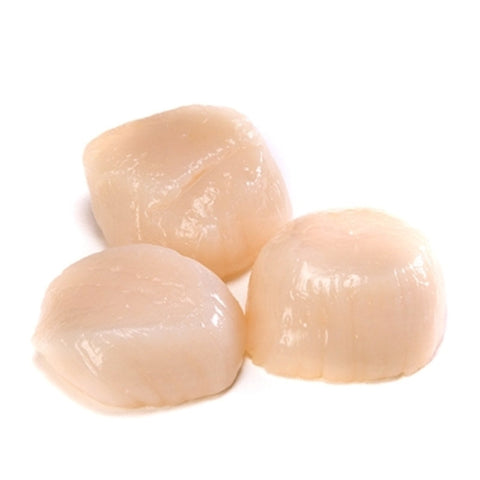 SCALLOPS, U10, DIVER, FROZEN