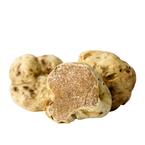 TRUFFLES, WHITE, BIANCHETTI, ITALIAN, FRESH