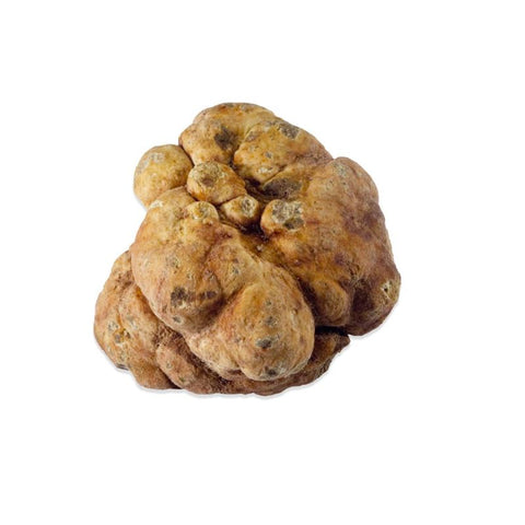TRUFFLES, WHITE, ALBA, ITALIAN, FRESH