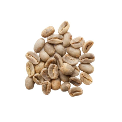 GUEST GEISHA PANAMA COFFEE, LIGHT ROAST