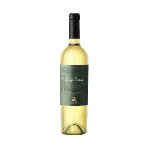 LUIGI BOSCA SAUVIGNON BLANC