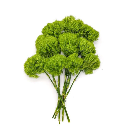 GREEN BALL