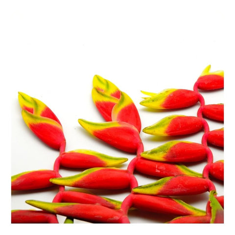 HANGING LOBSTER CLAWS