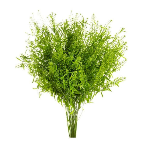 PEPPERCRESS