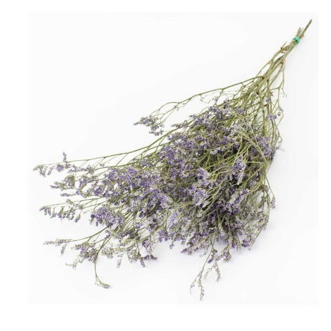 LIMONIUM