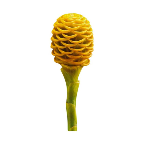 BEEHIVE GINGER