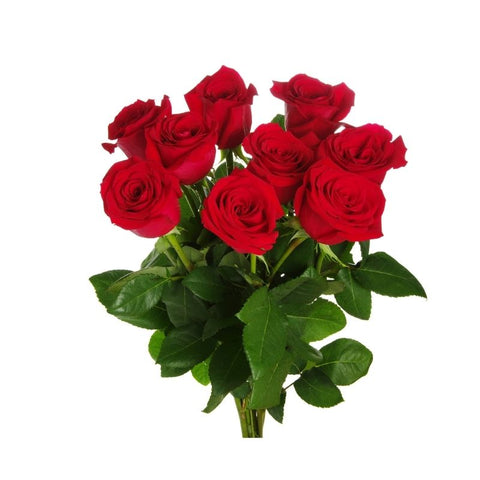 ROSES, 12 STEMS