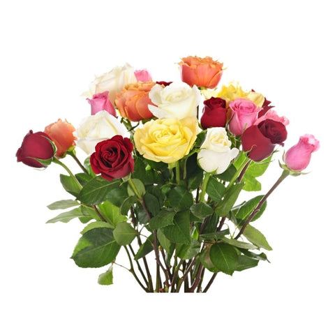 ROSES, 25 STEMS