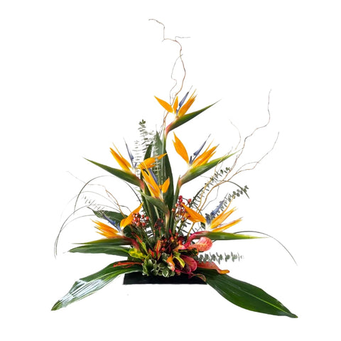 LARGE PREMIUM ARRANGEMENT